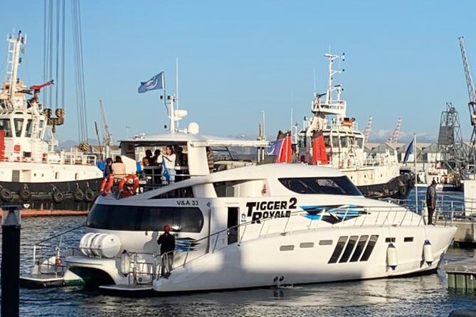3-Nights Tour Robben Island Table Mountain and Wine Tram - Table Mountain gives you Cape Town at a glance