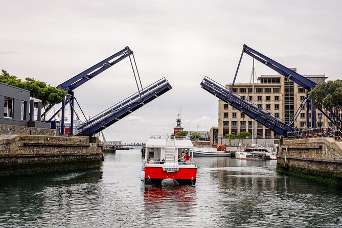 30min Harbour Boat Cruise Cape Town - Families, First-Timers, and Short Visits