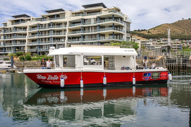 30min Harbour Boat Cruise Cape Town - Is $9.20 Good Value?