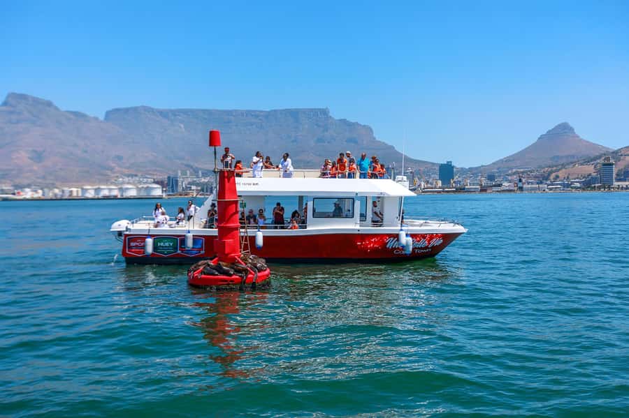 30min V&A Waterfront Harbour Cruise Cape Town - Key points at a glance