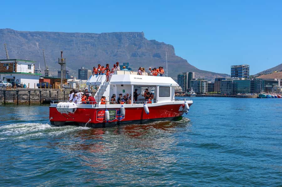 30min V&A Waterfront Harbour Cruise Cape Town - Who should book this Waterfront cruise?