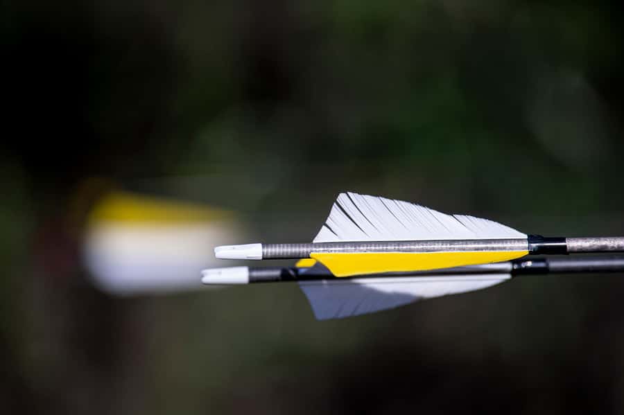 3D Archery Adventure - Plettenberg Bay - Learning the bow and arrow basics