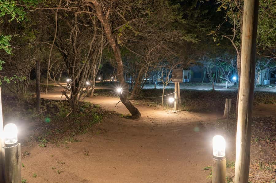 4 Day Dumela Tented Camp Safari - Small group size and practical planning