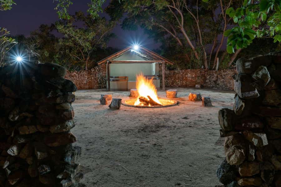 4 Day Dumela Tented Camp Safari - Day 1: From OR Tambo to a sunset drive