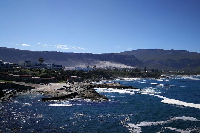 4 Day Garden Route Adventure & Safari - Guides can shape the whole experience