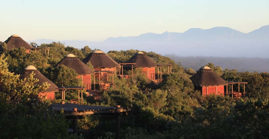4-Day Garden Route Experience - Should you book it?