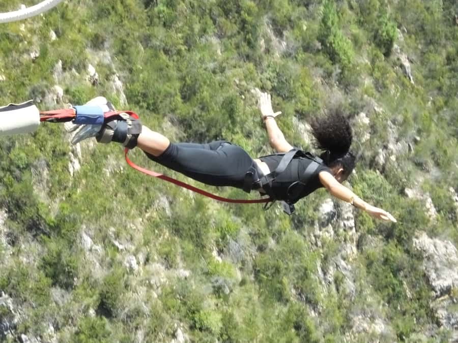 4-Day Garden Route Experience - Day 3: Tsitsikamma and a sunset game drive