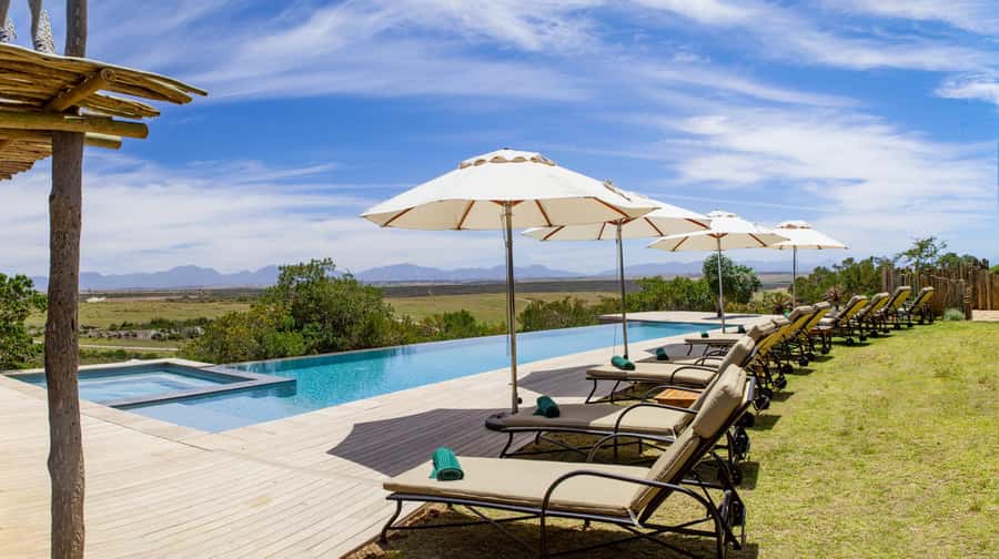 4-Day Garden Route Experience - Day 4: Morning wildlife, Hermanus whales, and Betty’s Bay penguins