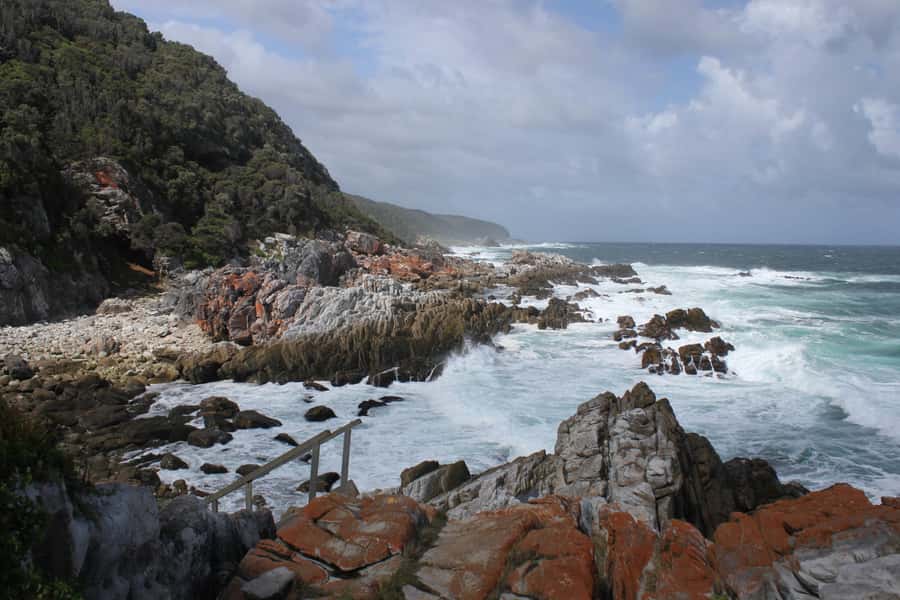 4-Day Garden Route Experience - The guide can make or break the long drives