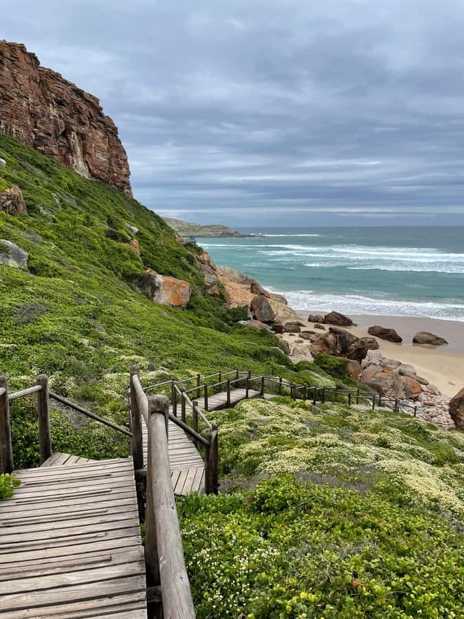 4-Day Garden Route Experience - Who should book this Garden Route tour?