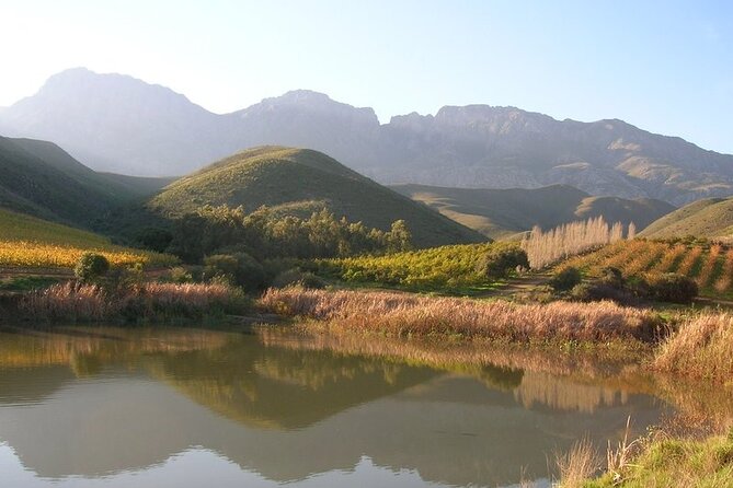 4 Day Garden Route Luxe Selection Micro Group Tour from Cape Town - Day 3: Forest trails and the Klein Karoo