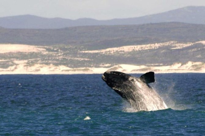4 Day Garden Route Luxe Selection Micro Group Tour from Cape Town - What is included, and what you still pay for