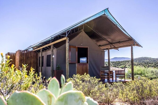 4 Day Garden Route Luxe Selection Micro Group Tour from Cape Town - Who will get the most from this tour