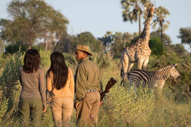 4 Day Garden Route Tour from Cape Town A Hiking and Safari - Accommodation, transport, and guide quality