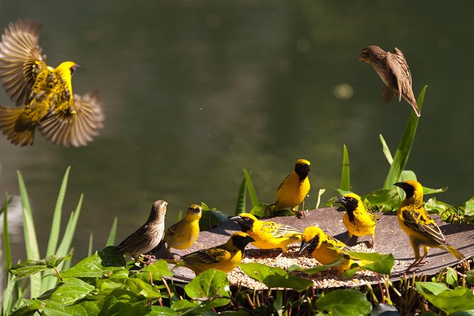 4 Day Garden Route Tour from CapeTown Small Group Hiking and Game - What this four-day Garden Route trip really covers