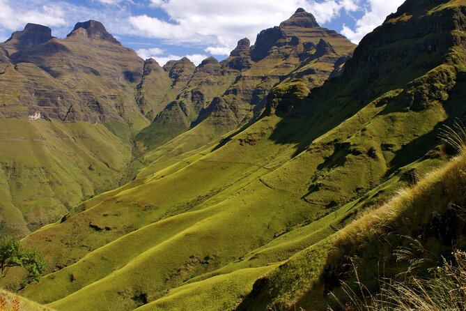 4 Day Garden Route Tour from CapeTown Small Group Hiking and Game - Group size, guiding, and the social side