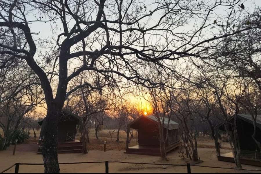 4 Day Kruger Glamping Budget Adventure - Day one: from OR Tambo Airport to a sunset drive
