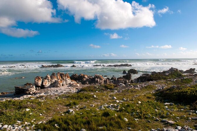 5 Day Cape to Addo Safari - Garden Route Small Group Tour - A five-day road trip with a little of everything