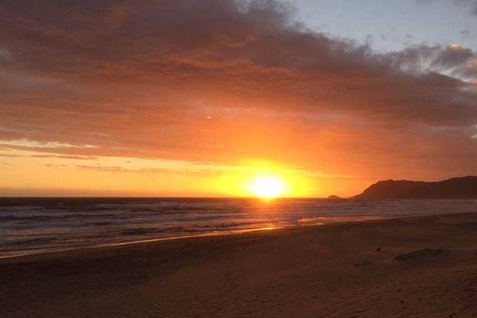5 Day Cape to Addo Safari - Garden Route Small Group Tour - Day five: crossing the mountains to Oudtshoorn