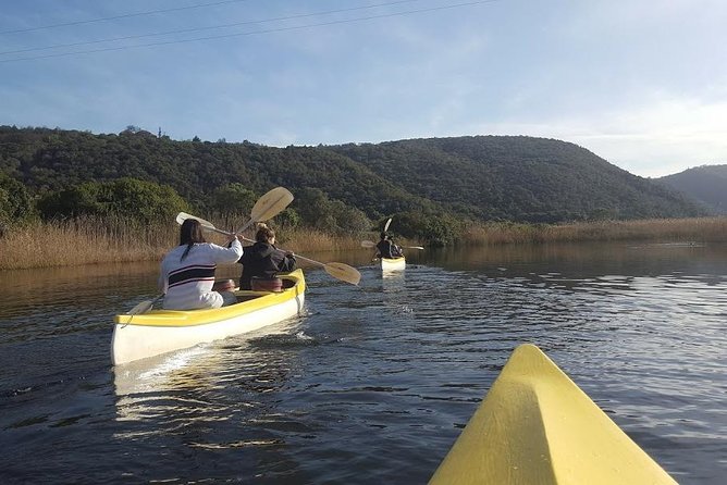 5 Day Cape to Addo Safari - Garden Route Small Group Tour - What the price really covers