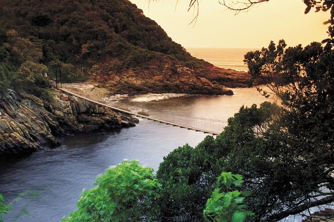 5 Day Cape to Addo Safari - Garden Route Small Group Tour - The road time, accommodation, and group rhythm