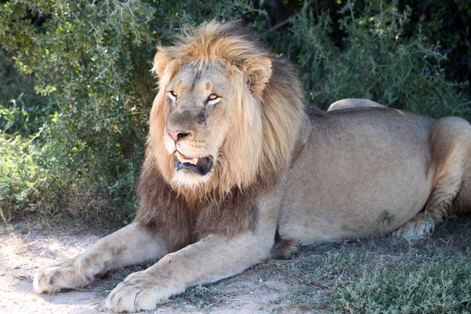 5 Day Cape to Addo Safari - Garden Route Small Group Tour - Who will enjoy this route most