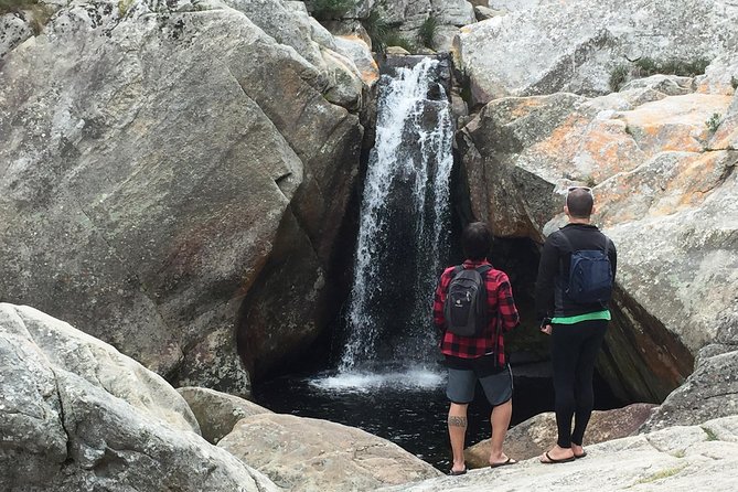 5-Day Garden Route & Addo Adventure from Cape Town to Port Elizabeth - Day four: Tsitsikamma’s bridge, forest, and coast