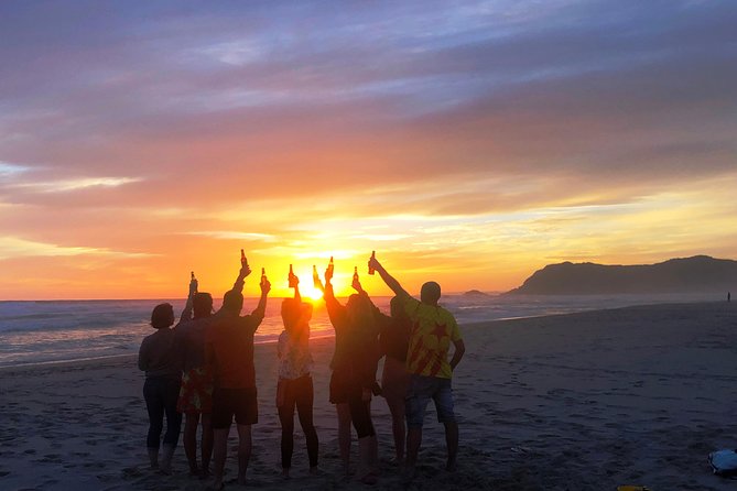 5-Day Garden Route & Addo Adventure from Cape Town to Port Elizabeth - Guides, group size, and the daily rhythm