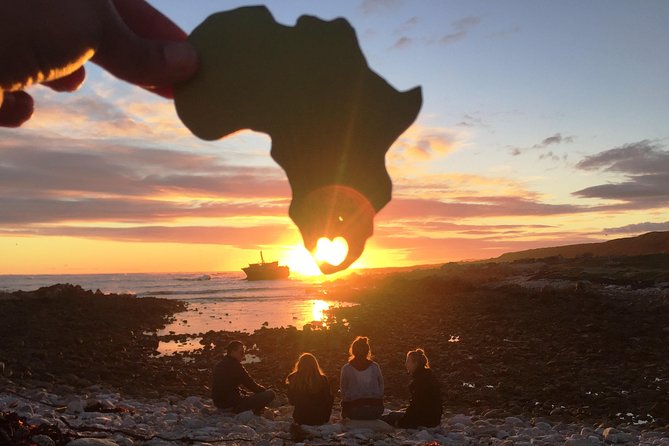 5-Day Garden Route & Addo Adventure from Cape Town to Port Elizabeth - Day one: penguins and the southern tip
