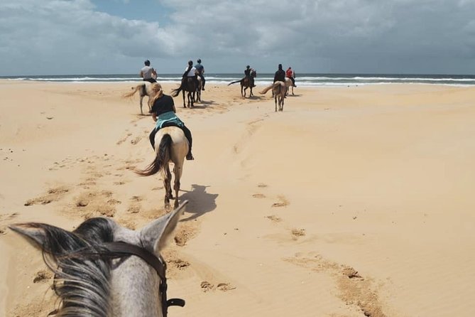 5 Day Garden Route and Addo Safari - Best of South Africa Small Group Tour - Day 5: Wilderness and the long return to Cape Town
