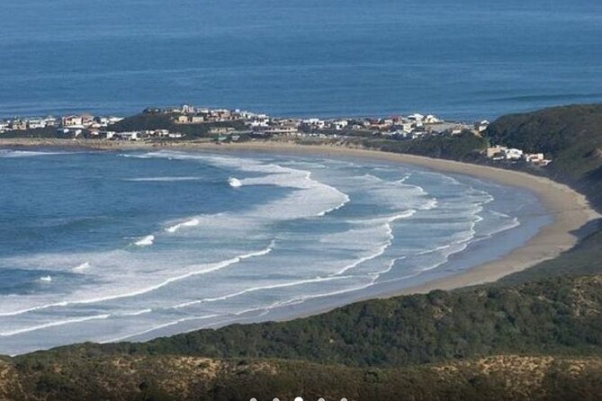 5 Day Garden Route Small Group Tour Fr CapeTown - Departs Mondays - Day 3: Addo elephants and the Bloukrans option