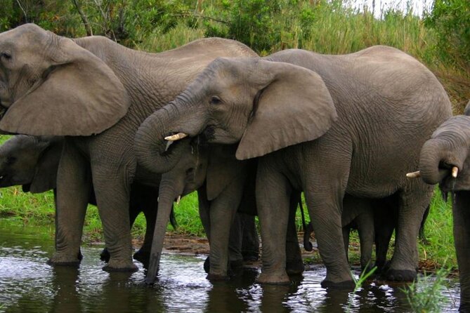5 Day Garden Route Small Group Tour Fr CapeTown - Departs Mondays - Day 1: Route 62, Outeniqua Pass, and Knysna