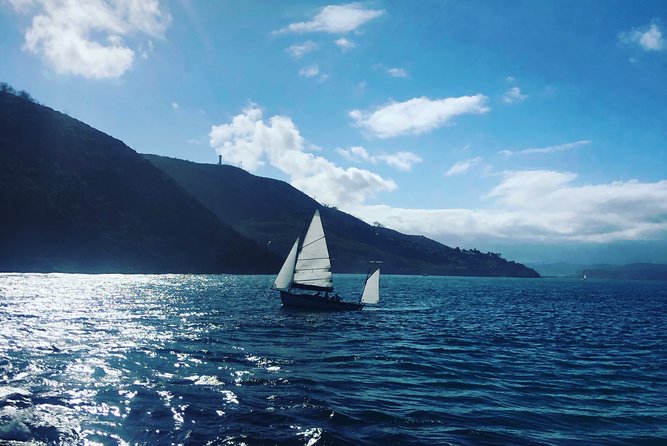 5 Days Private Guided Tour in Garden Route - Day one: Camps Bay to Mossel Bay and Knysna
