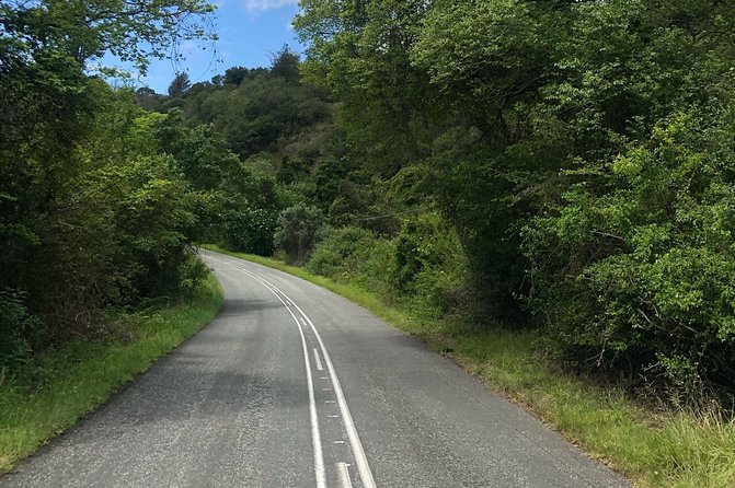 5 Days Private Guided Tour in Garden Route - Day four: Tsitsikamma Forest and Storms River