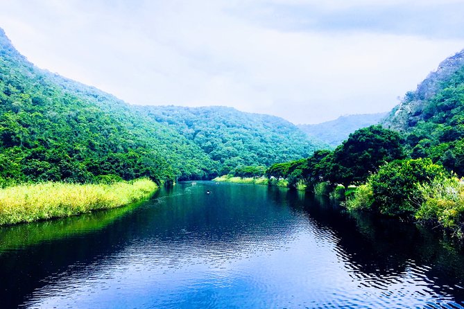 5 Days Private Guided Tour in Garden Route - What the $2,050.59 price really covers