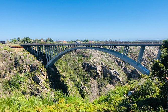 5 Days Private Guided Tour in Garden Route - Who should book this five-day route?