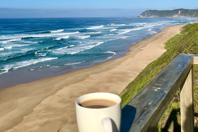 6-Day Garden Route & Addo South African Adventure from Cape Town - Day four: Tsitsikamma and the Bloukrans bridge