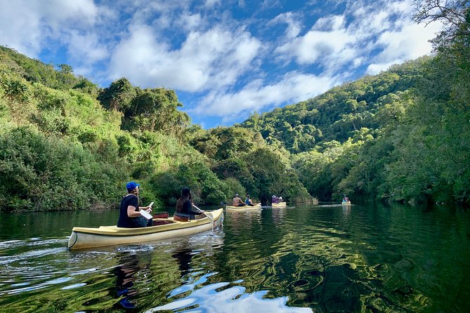 6-Day Garden Route & Addo South African Adventure from Cape Town - Day two: wine, caves and the Klein Karoo
