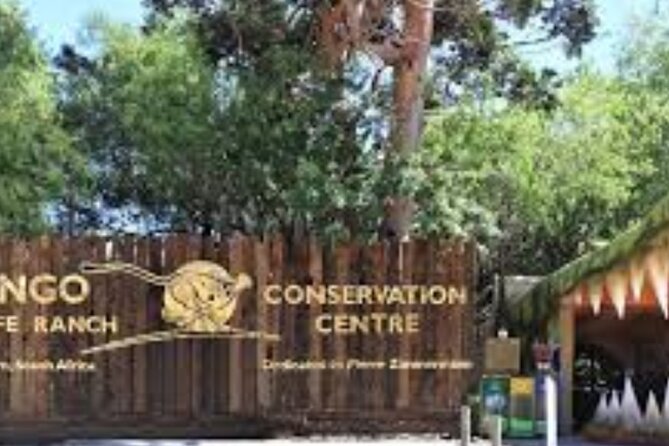 7- 10 Days Tour Package Cape Town and Garden Route - Day 7: Aloe products and the journey home