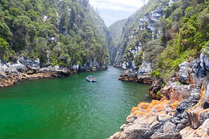 7-day Cape Town, Winelands, Garden Route and Addo National Park - A big South African sampler in seven days