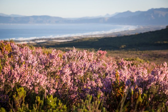 7-day Cape Town, Winelands, Garden Route and Addo National Park - Robben Island and the Bo-Kaap on day one