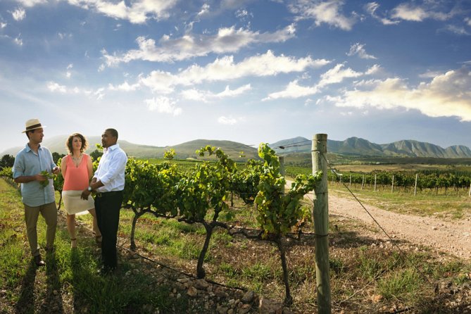 7-day Cape Town, Winelands, Garden Route and Addo National Park - How the price works for you
