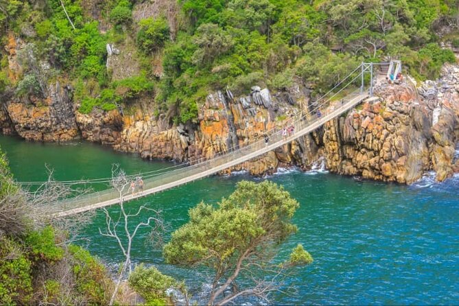 7-Day Garden Route Safari Adventure from Cape Town - Day 5: Knysna Heads and the wildlife centers