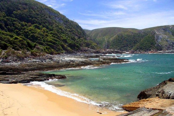 7 Day Garden Route to Addo, Cape Point and Winelands Combo tour - The return journey makes room for another safari