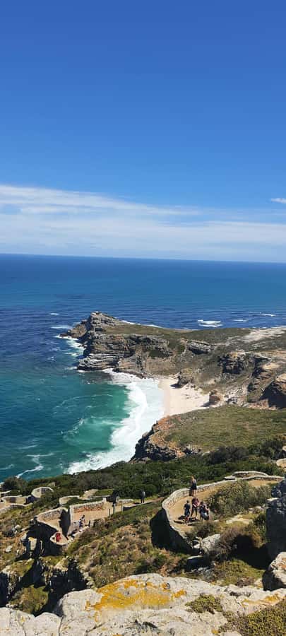 A Curious Adventure through Chapman’s Peak Drive: Cape Point - From Cape Town to Hout Bay