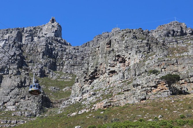 Abseiling Table Mountain - Meeting Cape Xtreme at Table Mountain