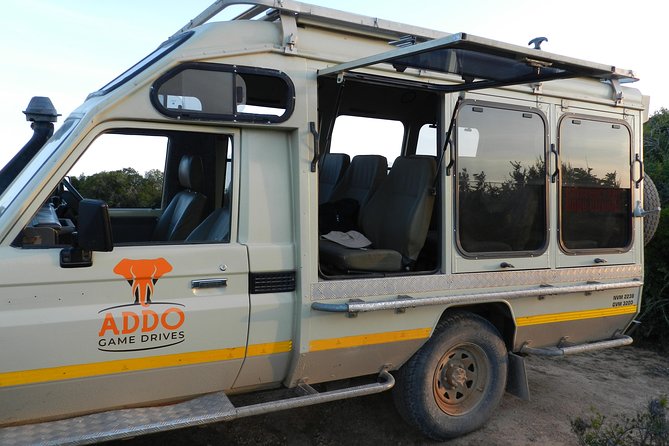 Addo Elephant 5 hour Morning Safari. - Entering Addo at 8:30 a.m.