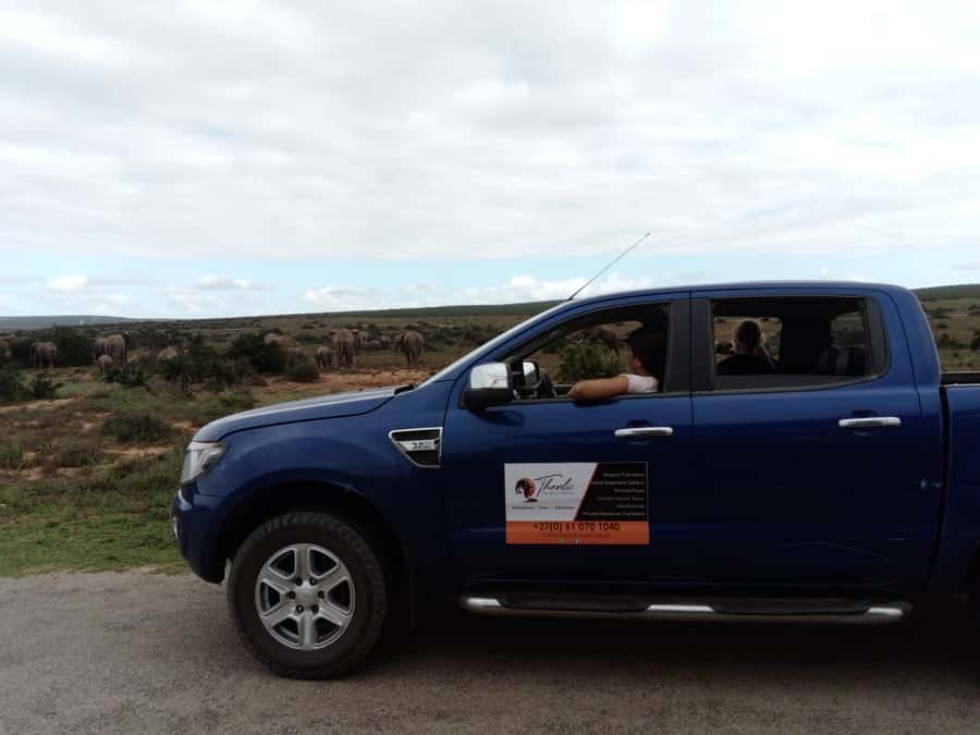 Addo Elephant National Park Game Drive Day Tour With Lunch - Key points at a glance