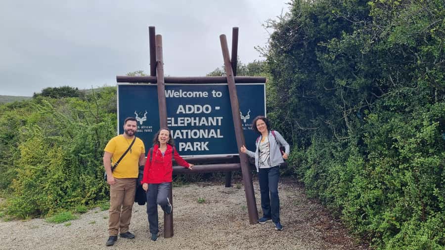 Addo Elephant National Park Private Full-Day Safari - Why a private day works well in Addo