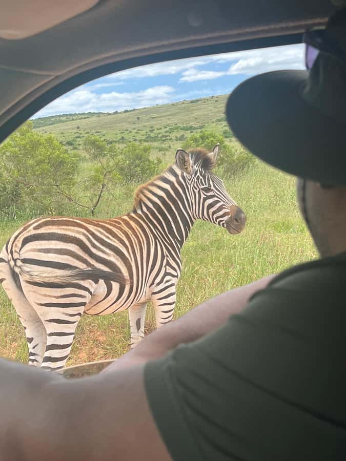ADDO ELEPHANT PARK - What the guide adds to the day
